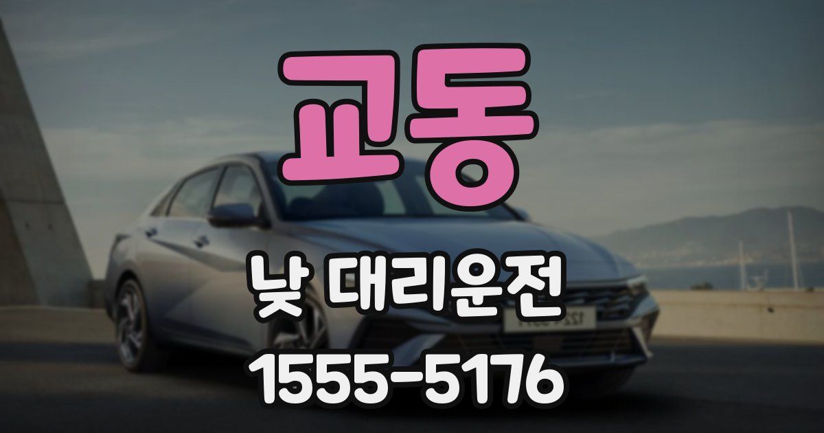 교동 낮 대리운전