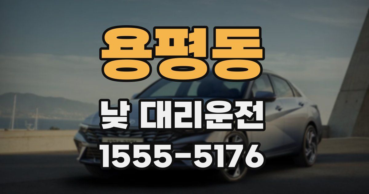 용평동 낮 대리운전