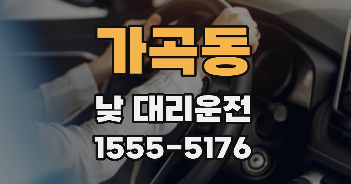 가곡동 낮 대리운전