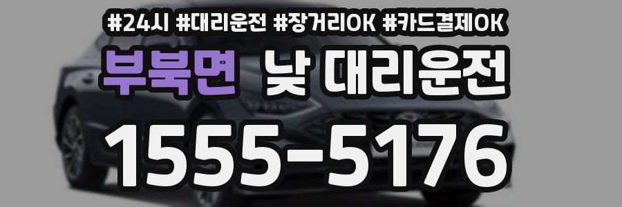 부북면 낮 대리운전
