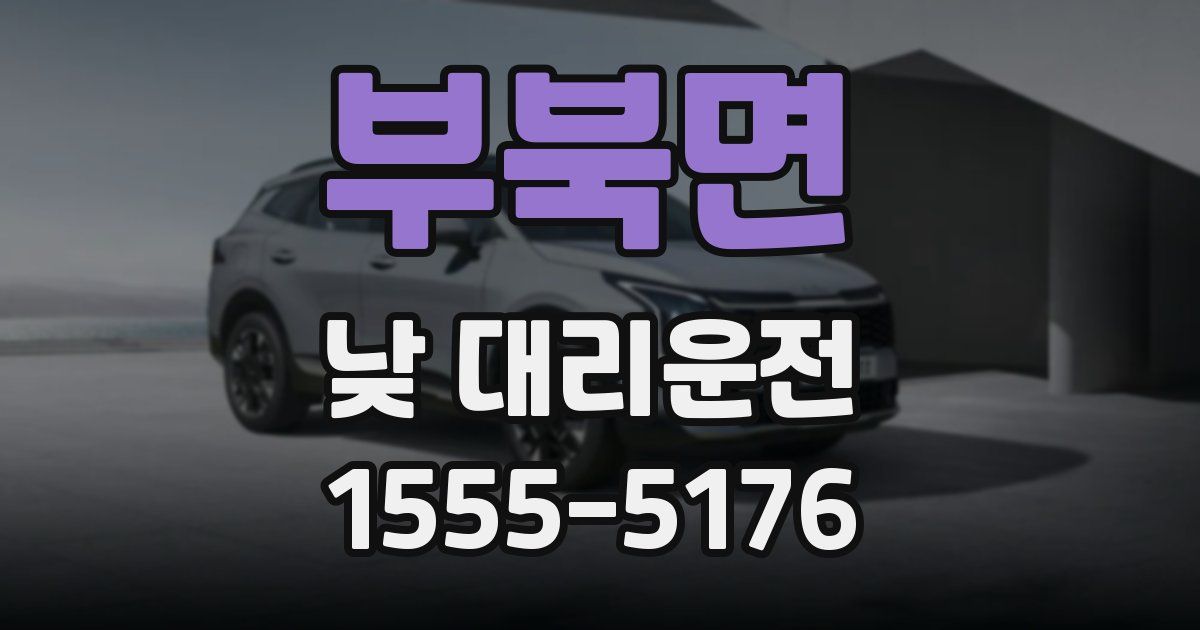 부북면 낮 대리운전