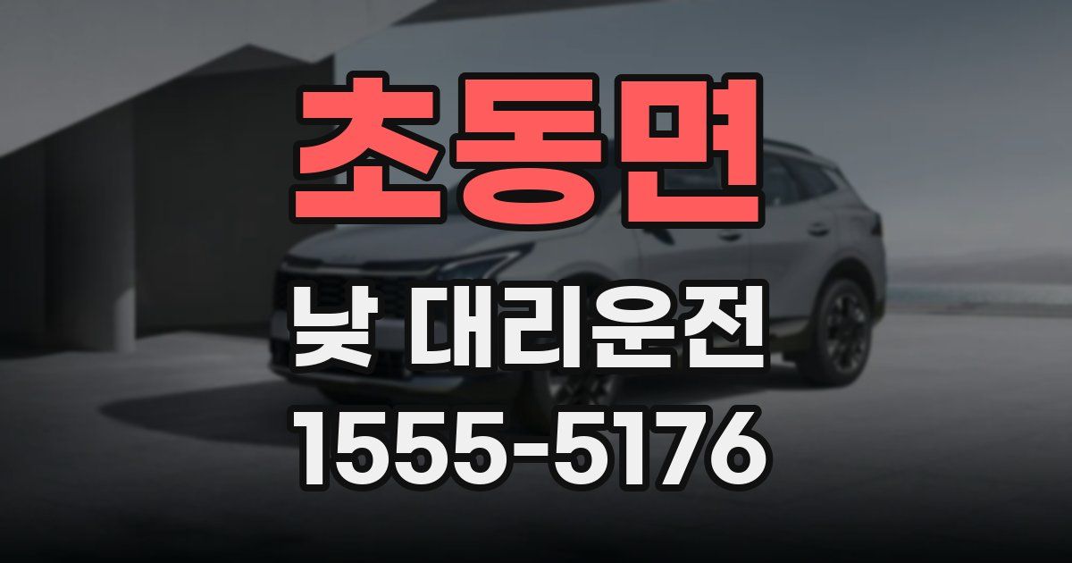 초동면 낮 대리운전
