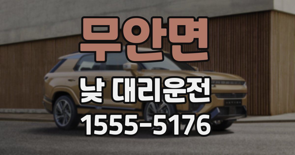 무안면 낮 대리운전