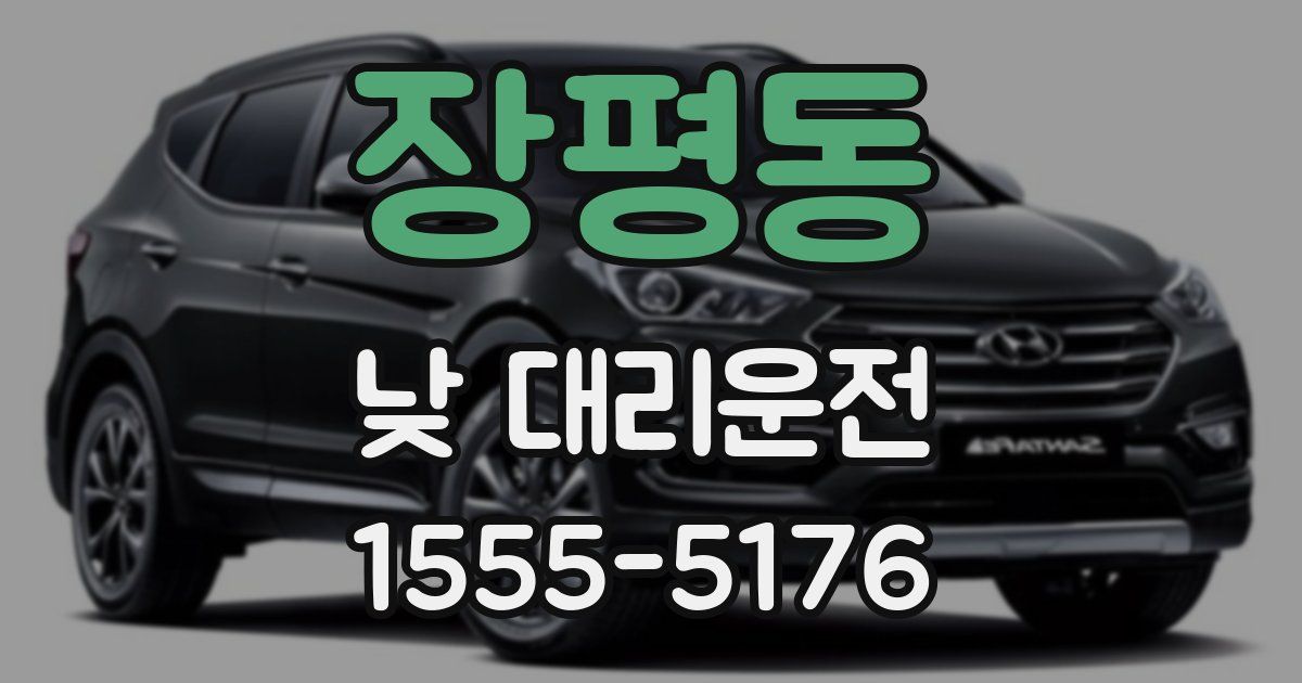 장평동 낮 대리운전
