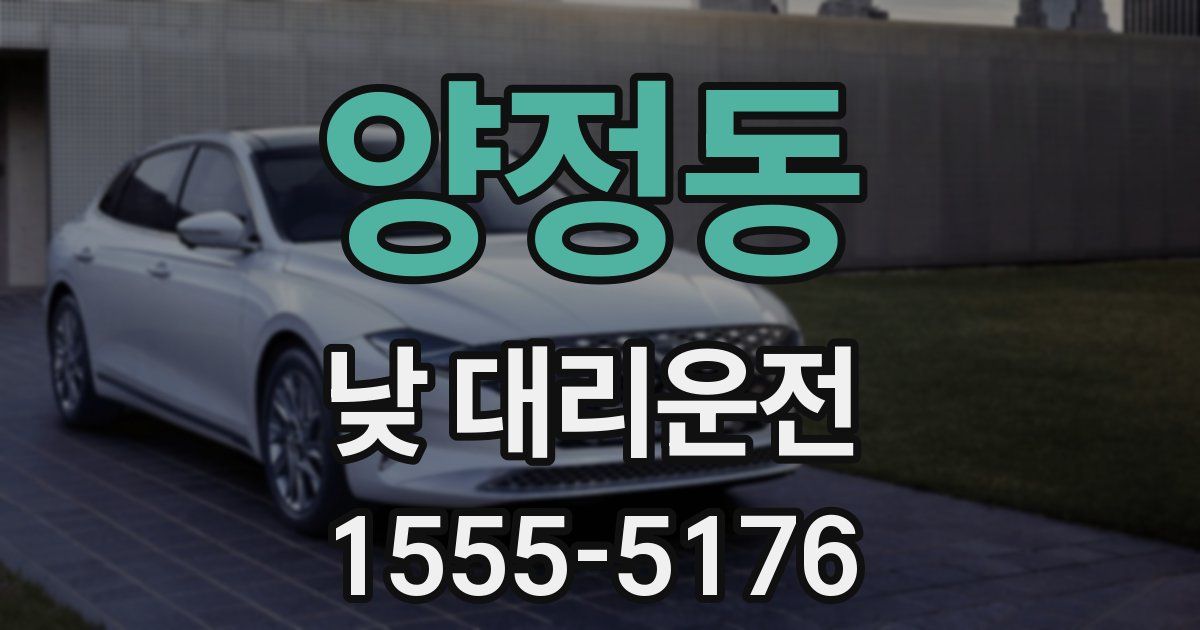 양정동 낮 대리운전