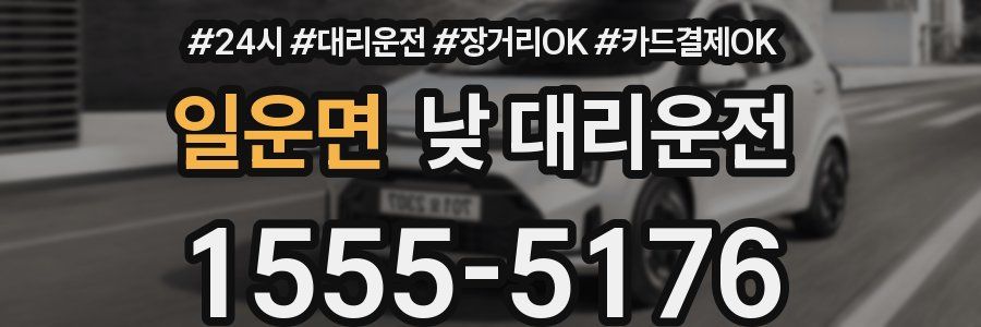 일운면 낮 대리운전
