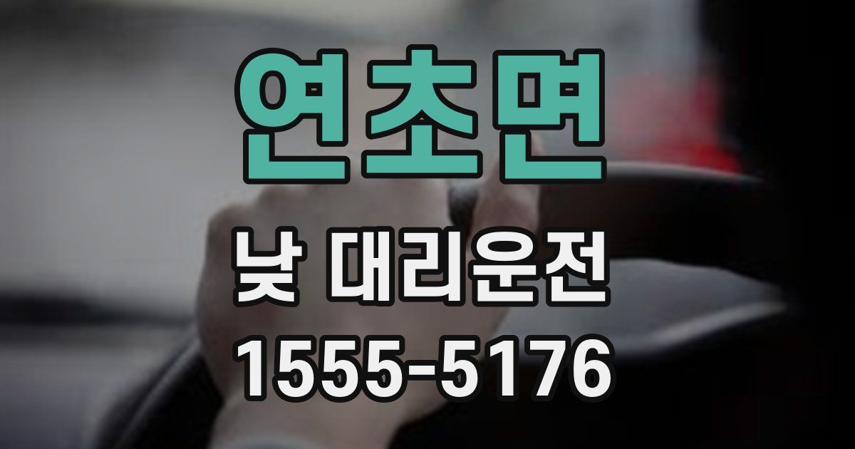 연초면 낮 대리운전