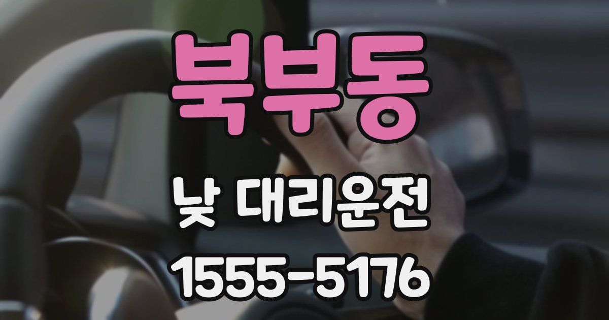 북부동 낮 대리운전