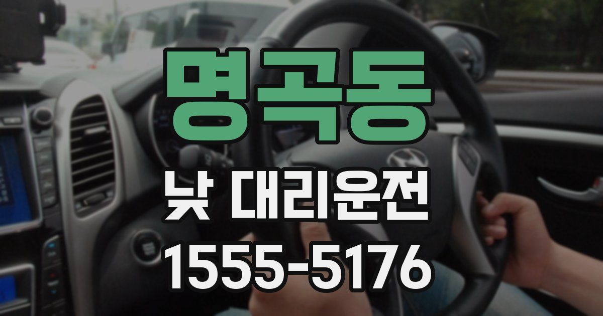 명곡동 낮 대리운전
