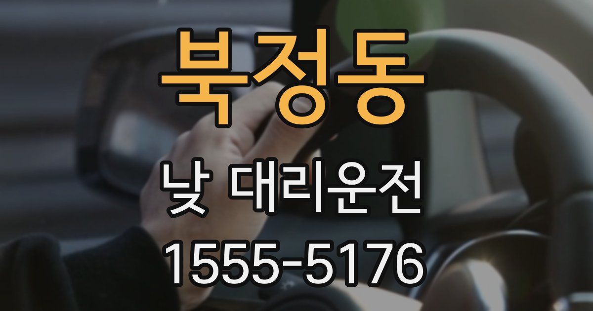북정동 낮 대리운전