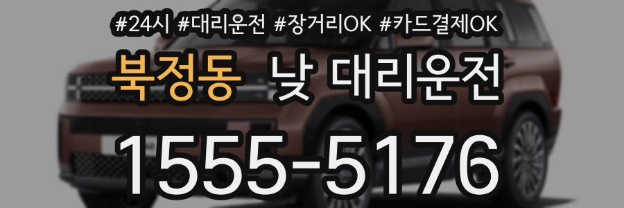 북정동 낮 대리운전