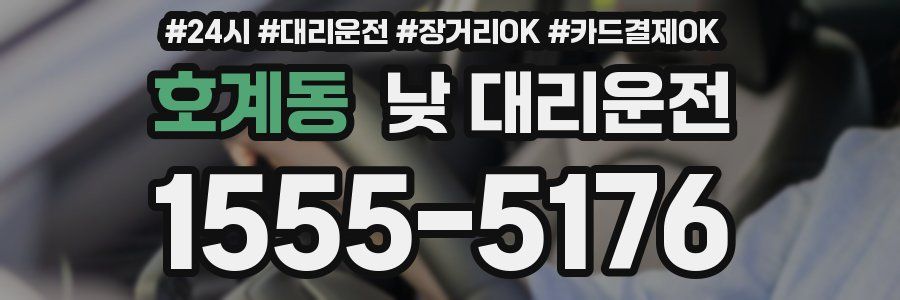 호계동 낮 대리운전