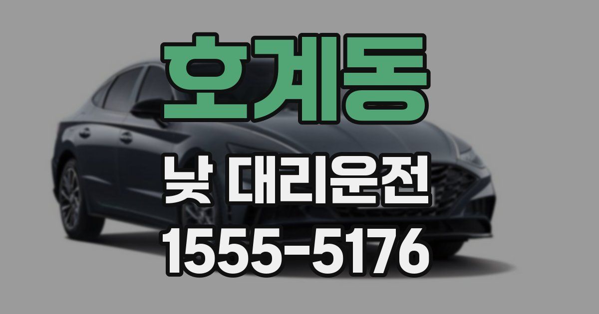 호계동 낮 대리운전