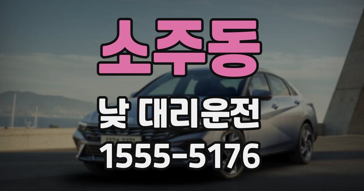 소주동 낮 대리운전