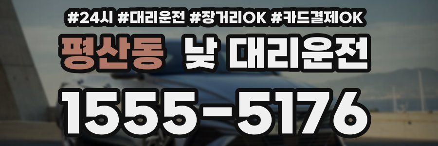 평산동 낮 대리운전