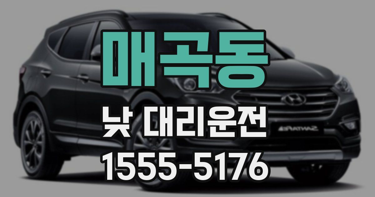 매곡동 낮 대리운전