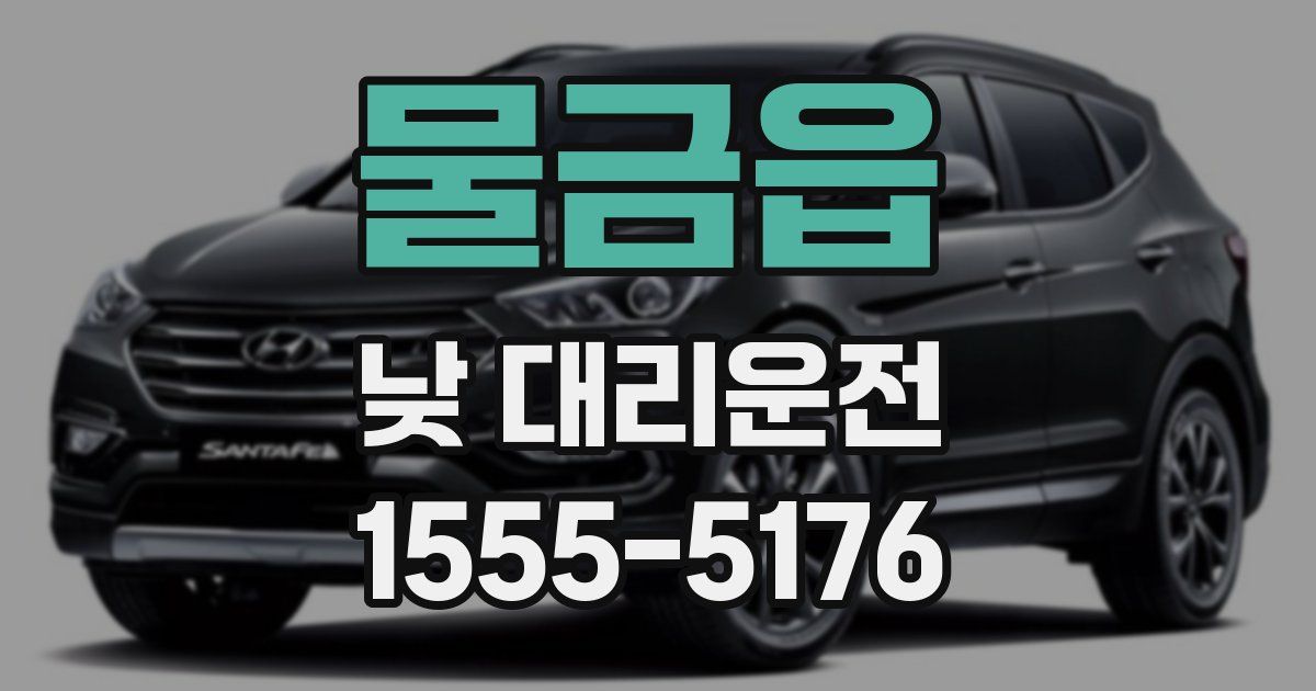 물금읍 낮 대리운전