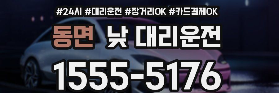 동면 낮 대리운전