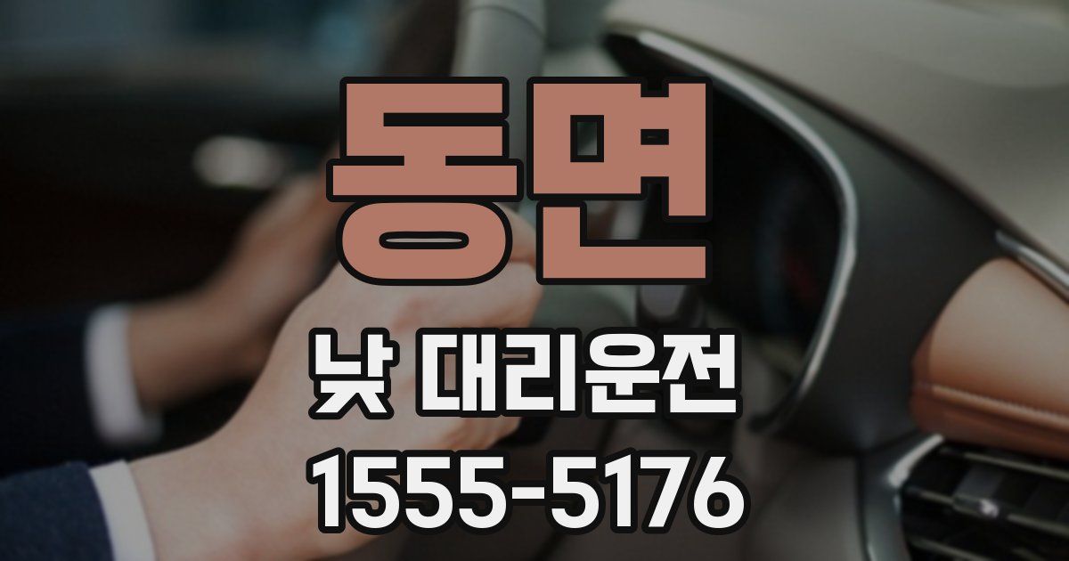 동면 낮 대리운전