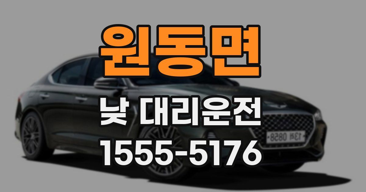 원동면 낮 대리운전