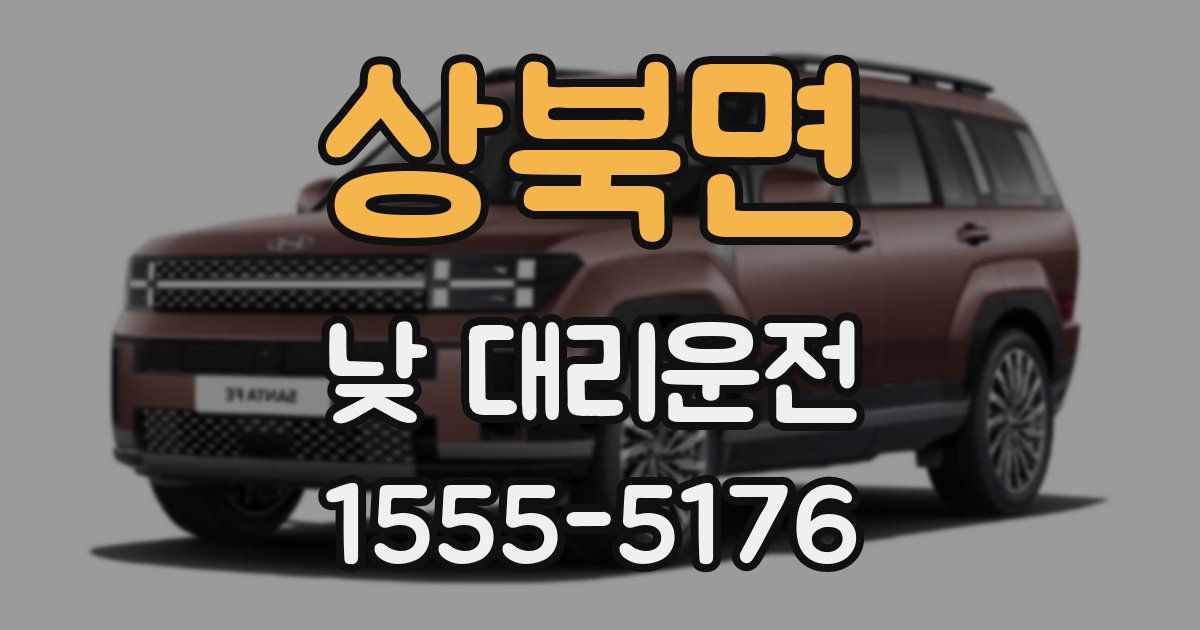 상북면 낮 대리운전