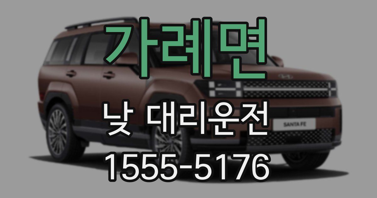 가례면 낮 대리운전