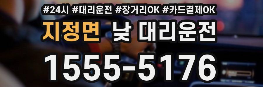 지정면 낮 대리운전