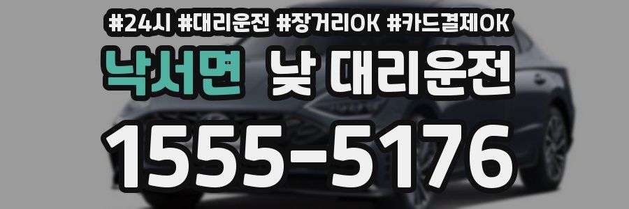 낙서면 낮 대리운전