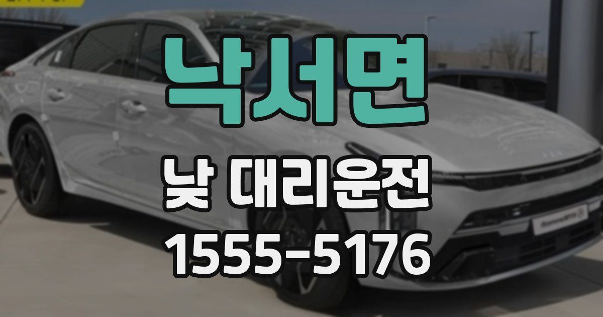 낙서면 낮 대리운전