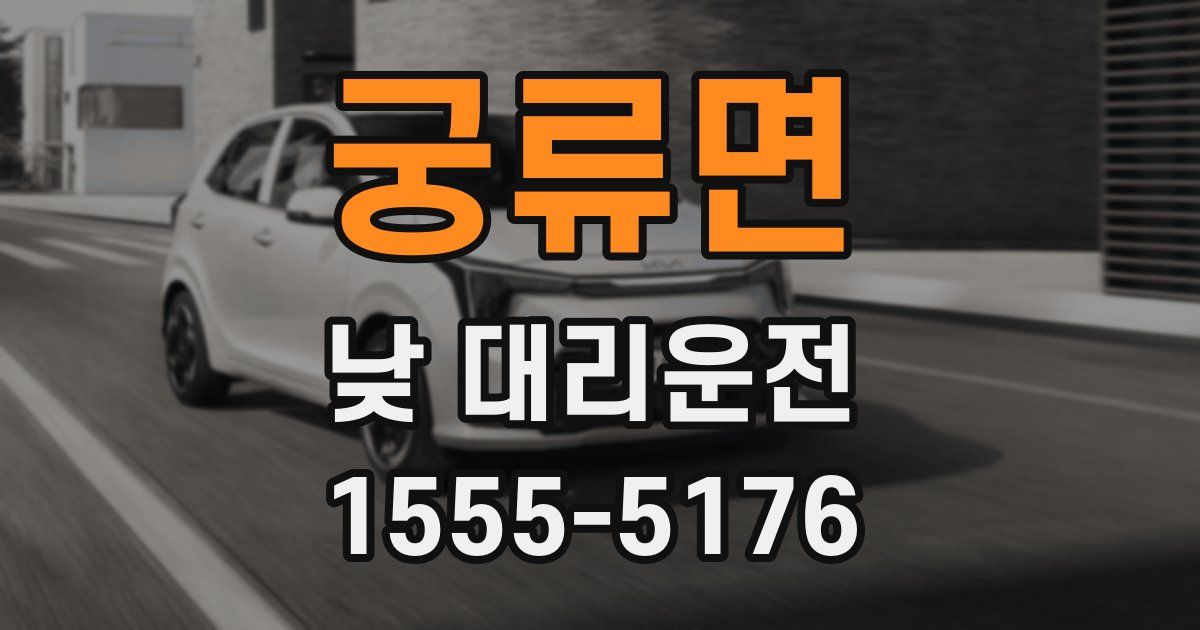 궁류면 낮 대리운전