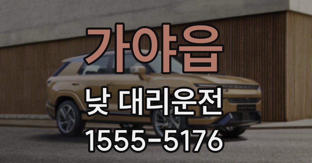 가야읍 낮 대리운전