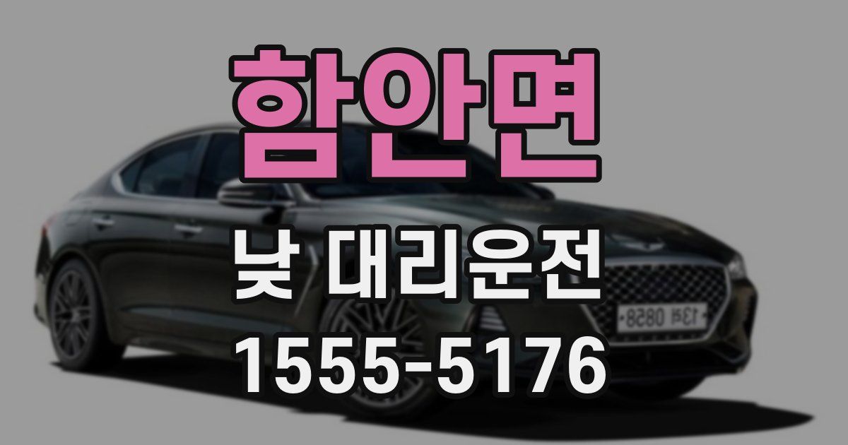 함안면 낮 대리운전