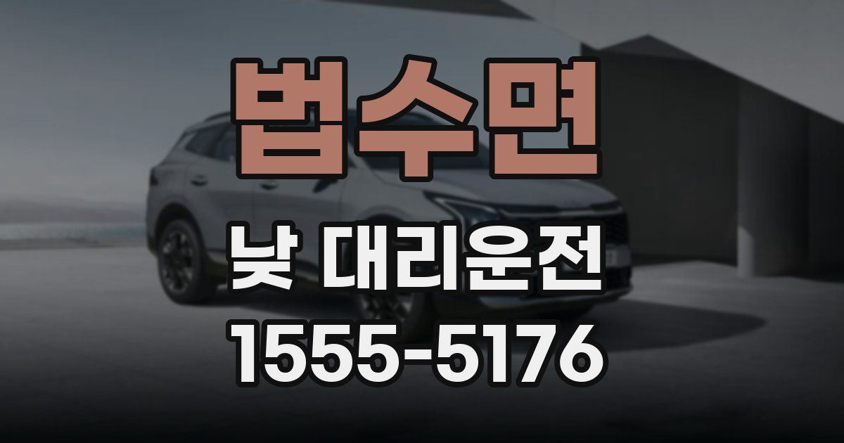 법수면 낮 대리운전