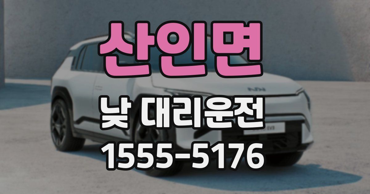 산인면 낮 대리운전