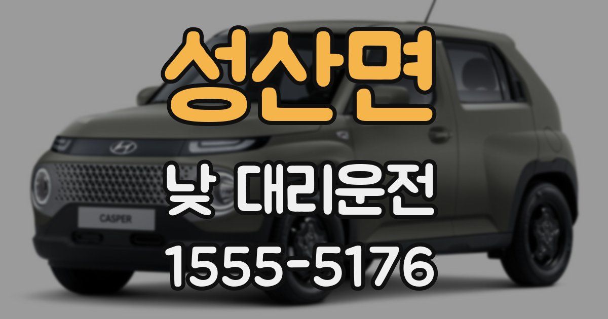 성산면 낮 대리운전