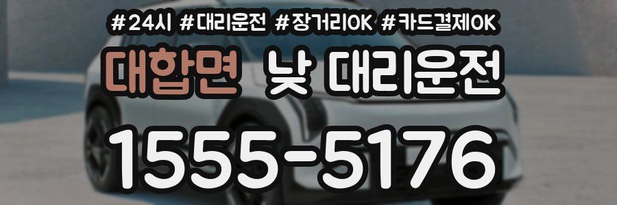 대합면 낮 대리운전
