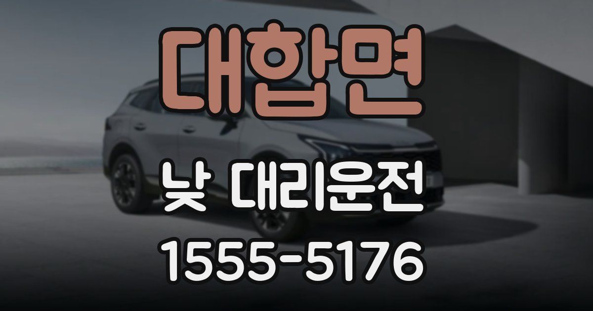 대합면 낮 대리운전