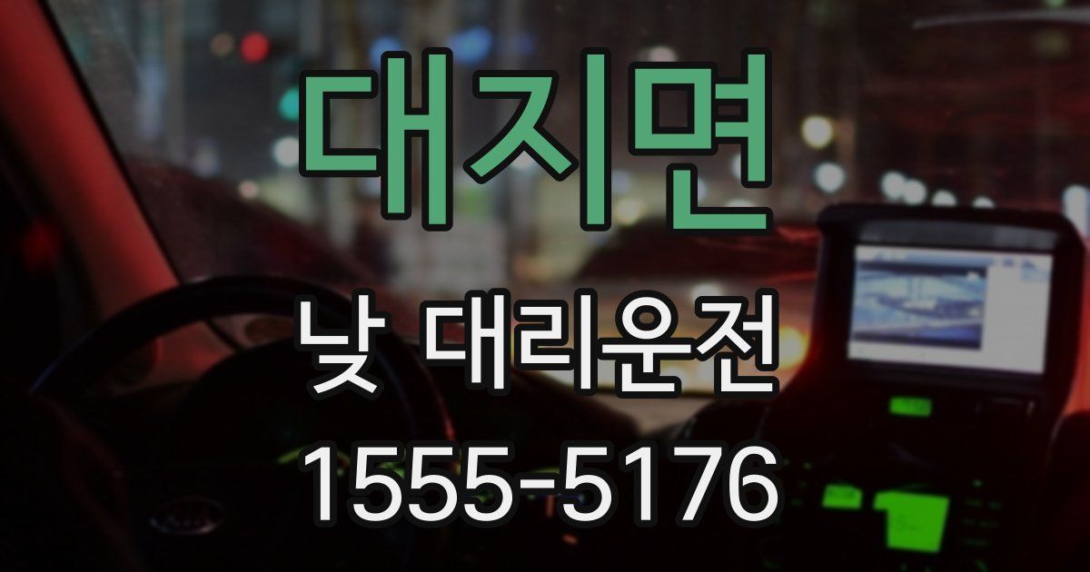 대지면 낮 대리운전