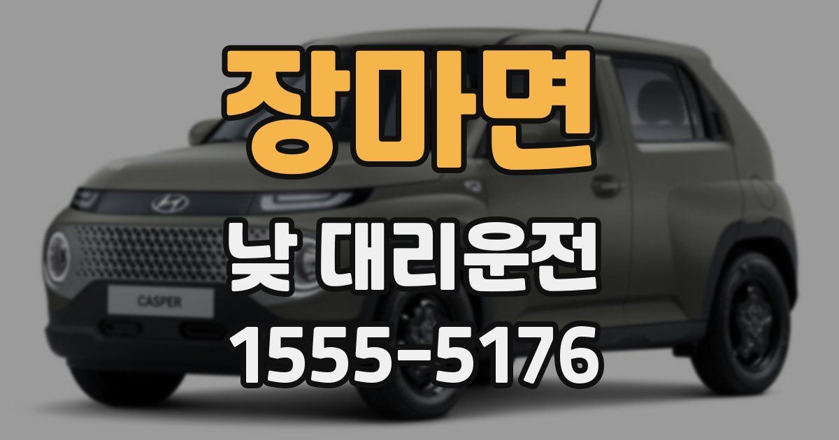 장마면 낮 대리운전