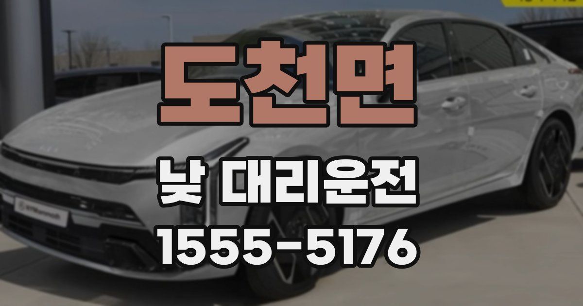 도천면 낮 대리운전