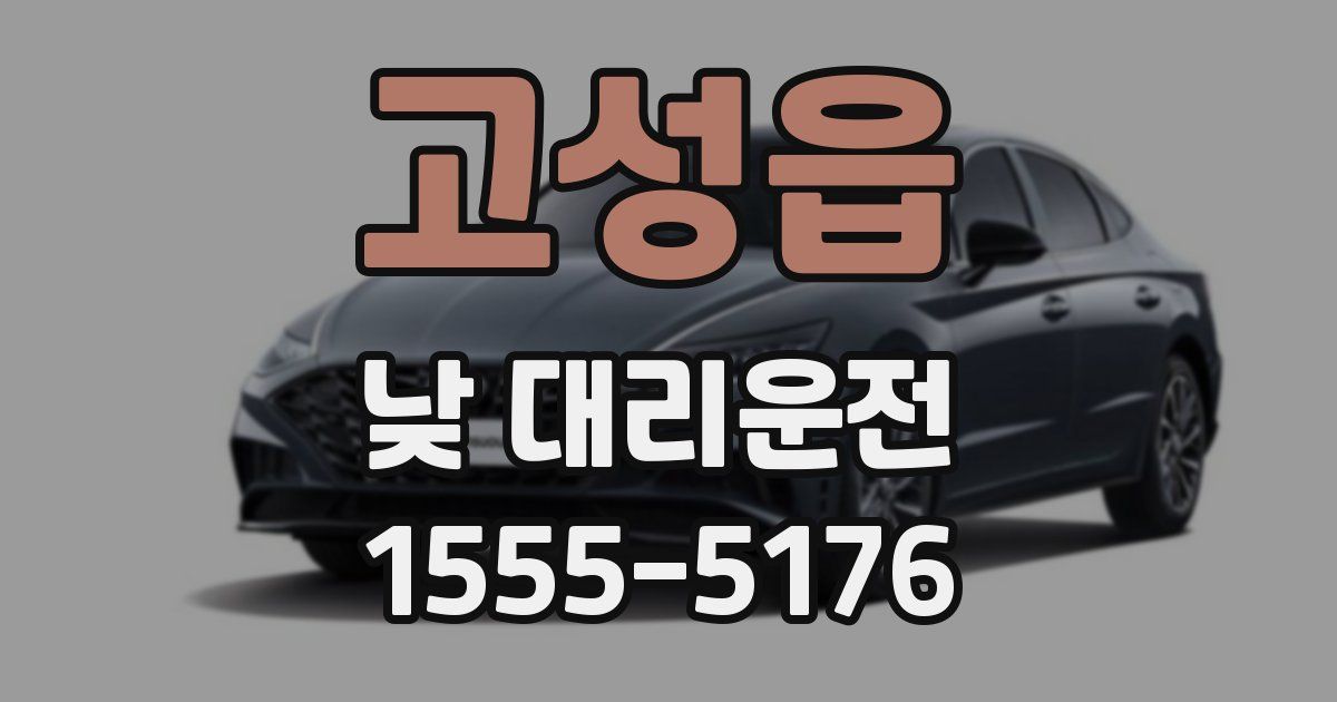 고성읍 낮 대리운전