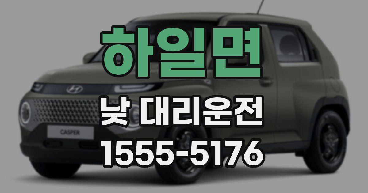 하일면 낮 대리운전