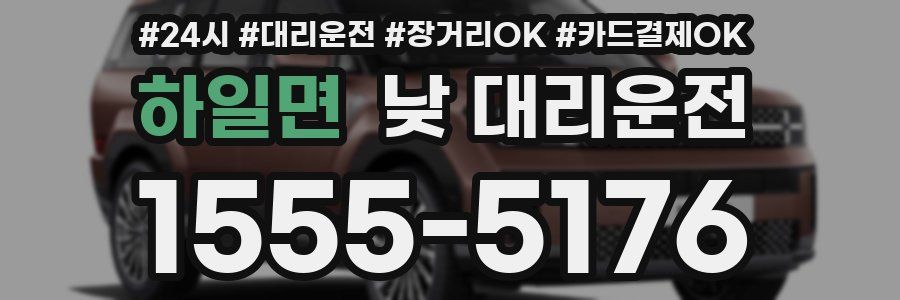 하일면 낮 대리운전