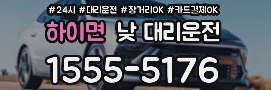 하이면 낮 대리운전