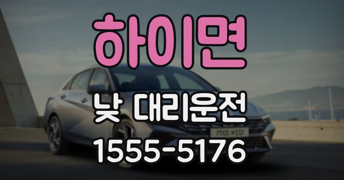 하이면 낮 대리운전