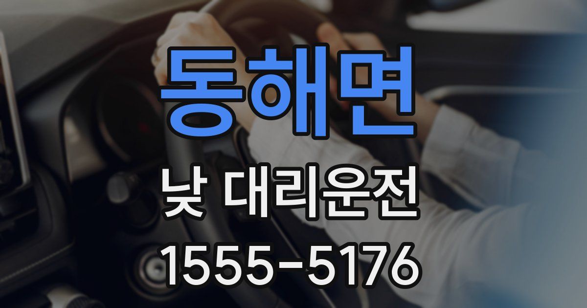 동해면 낮 대리운전