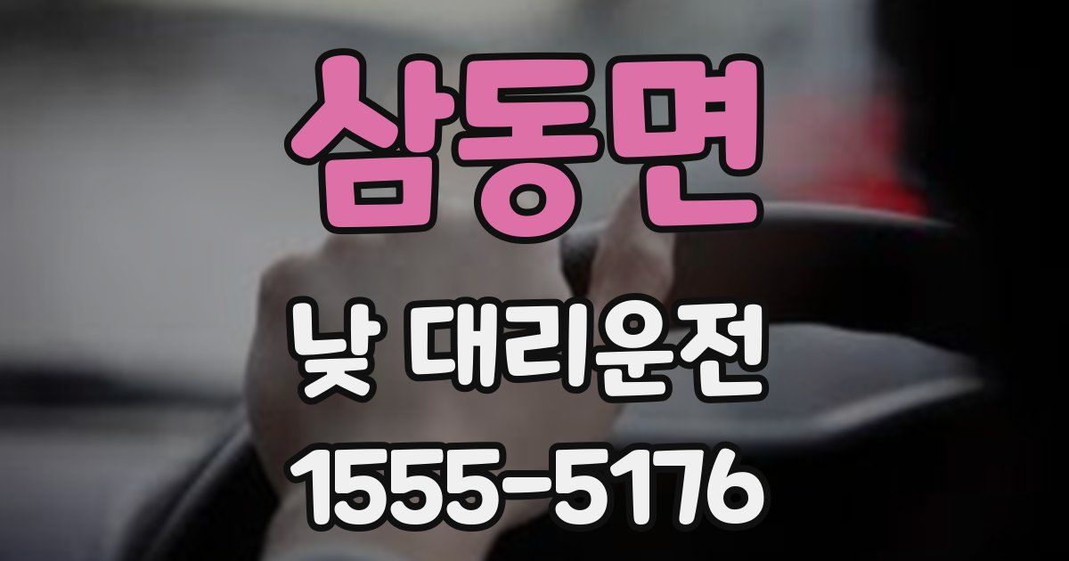 삼동면 낮 대리운전