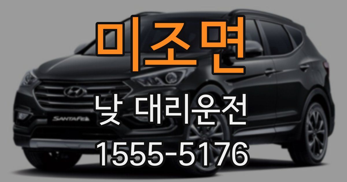 미조면 낮 대리운전