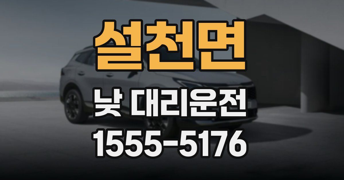 설천면 낮 대리운전