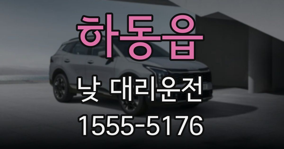 하동읍 낮 대리운전